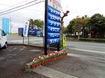 春飾りを始めました